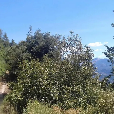 In Limano With House A Mountain View *